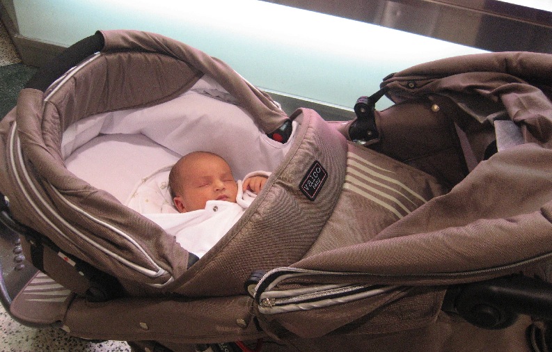 newborn in pram bassinet