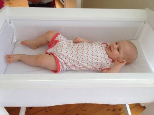 Tasman essentials bassinet sale