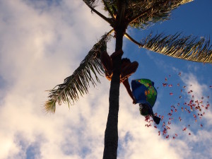 Paradise Cove Flower Shower